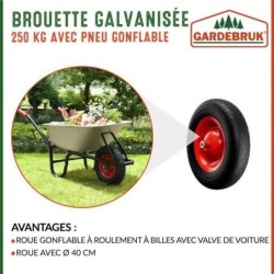 Brouette de jardin 100L max 250kg chariot transport feuilles bois construction chantier zingué roue pneumatique